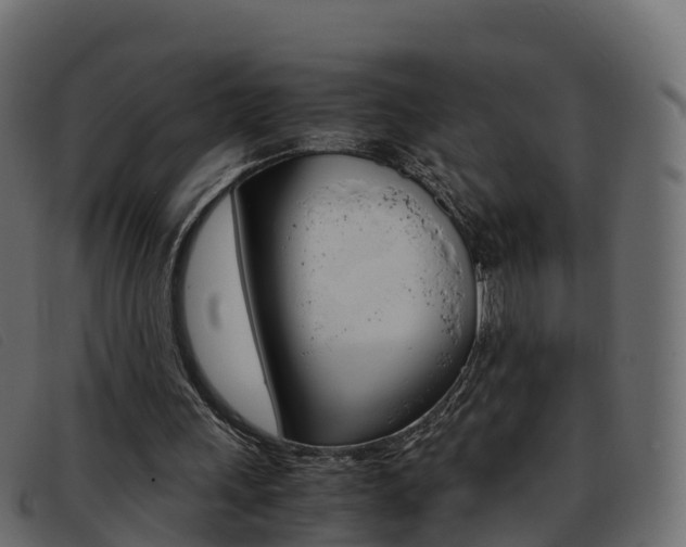 X0000093370243200710111332
