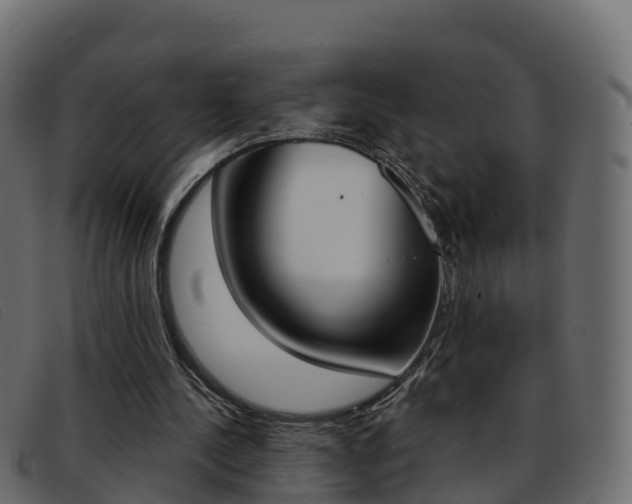 X0000093370244200710111332