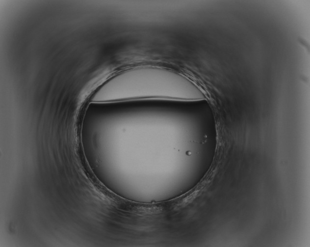 X0000093370245200710111332