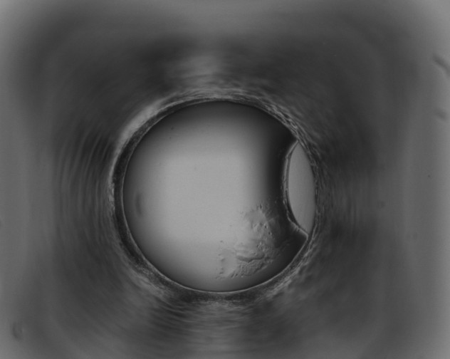 X0000093370246200710111332