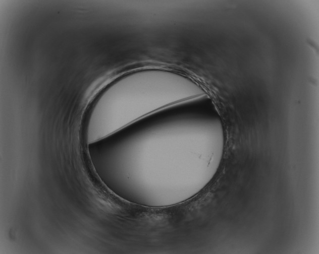 X0000093370247200710111332