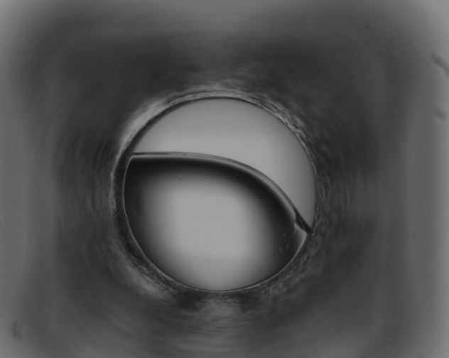 X0000093370248200710111332