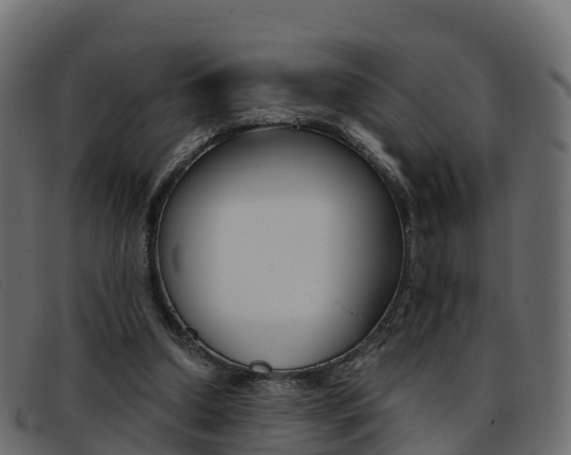 X0000093370250200710111332