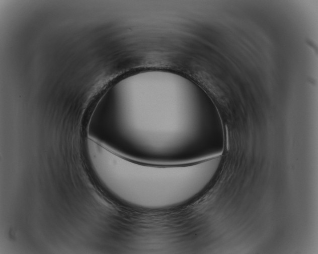 X0000093370252200710111332