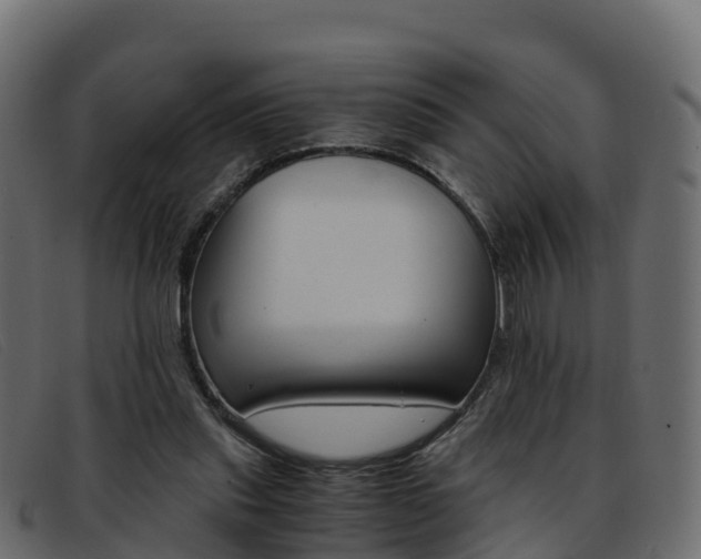 X0000093370253200710111332