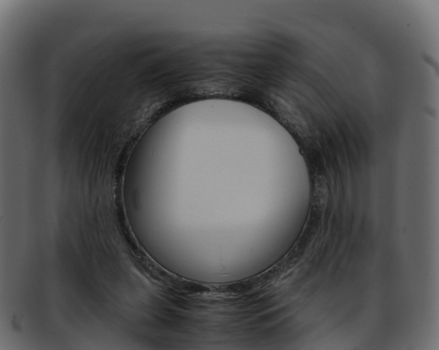 X0000093370255200710111332