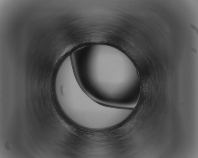 X0000093370256200710111332