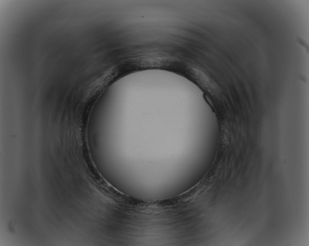 X0000093370258200710111332