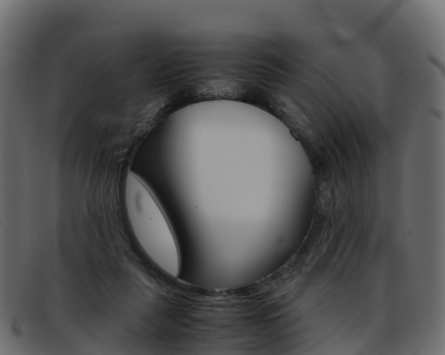 X0000093370259200710111332