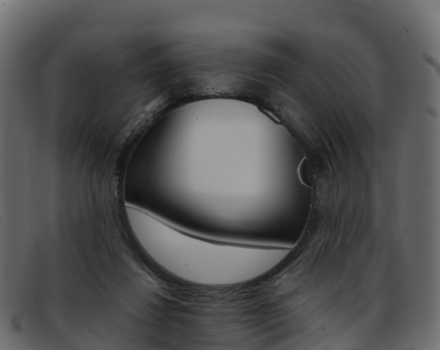 X0000093370260200710111332