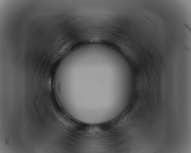 X0000093370262200710111332