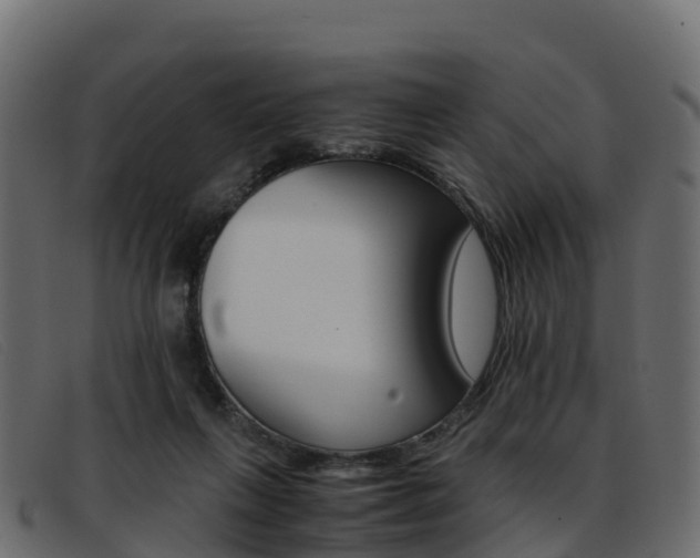 X0000093370263200710111332