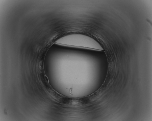 X0000093370264200710111332