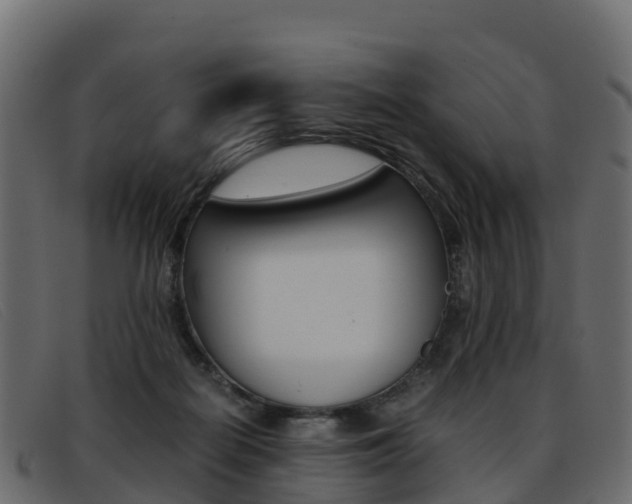 X0000093370266200710111332