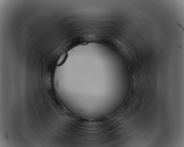X0000093370267200710111332