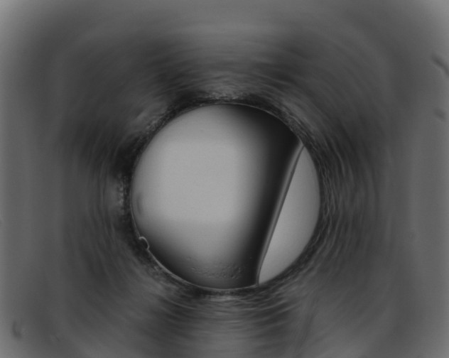 X0000093370268200710111332