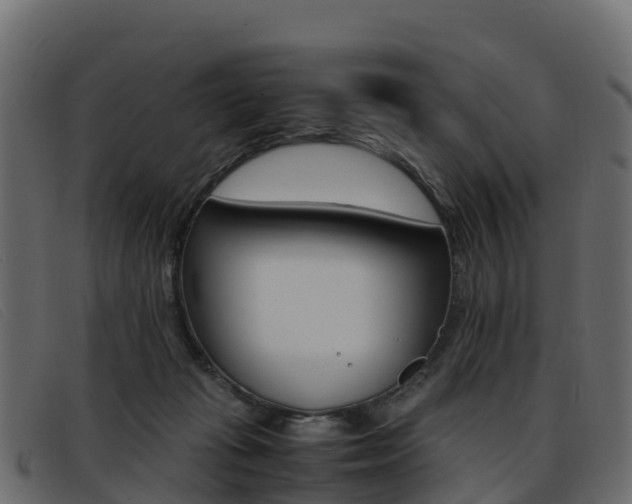 X0000093370269200710111332