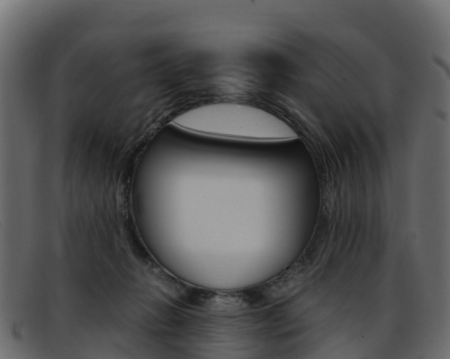 X0000093370270200710111332