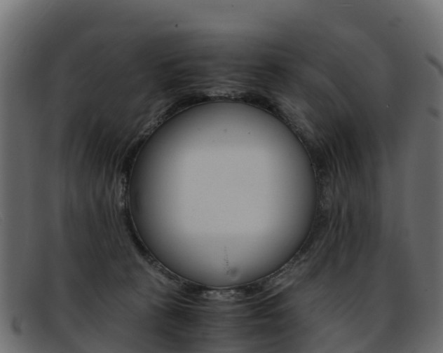 X0000093370273200710111332