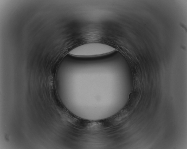 X0000093370274200710111332