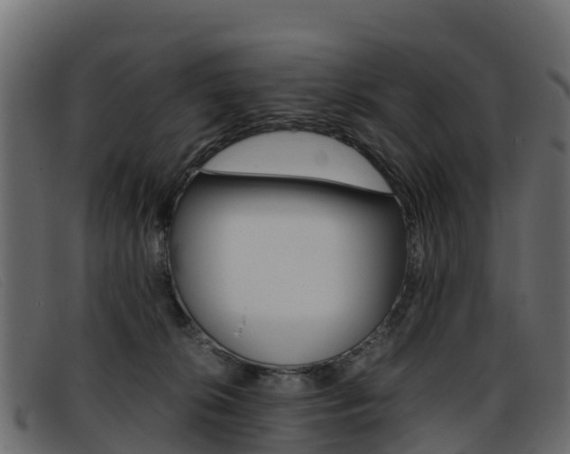 X0000093370276200710111332