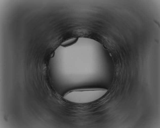 X0000093370279200710111332