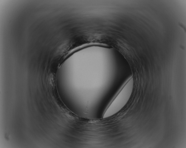 X0000093370280200710111332