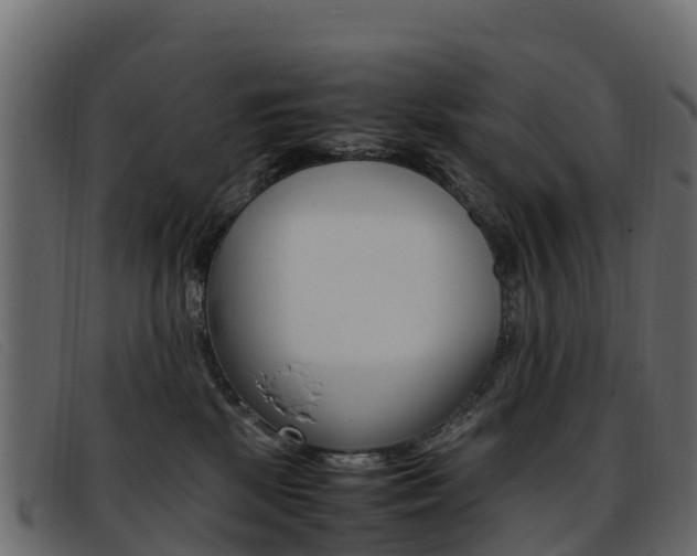 X0000093370281200710111332