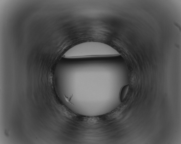X0000093370282200710111332