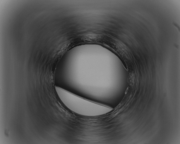 X0000093370284200710111332