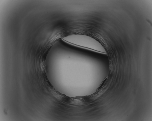X0000093370285200710111332
