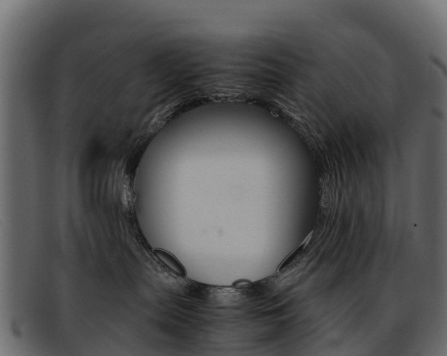 X0000093370287200710111332