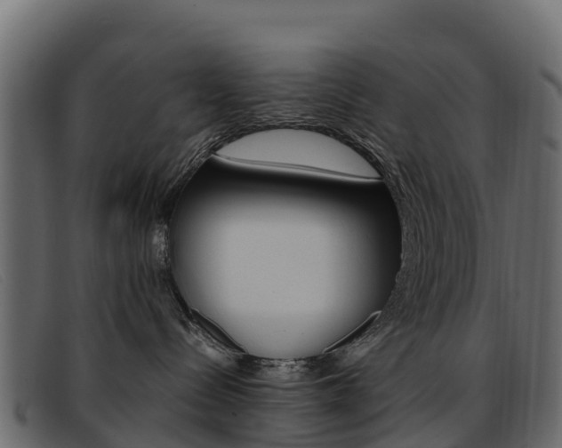X0000093370288200710111332