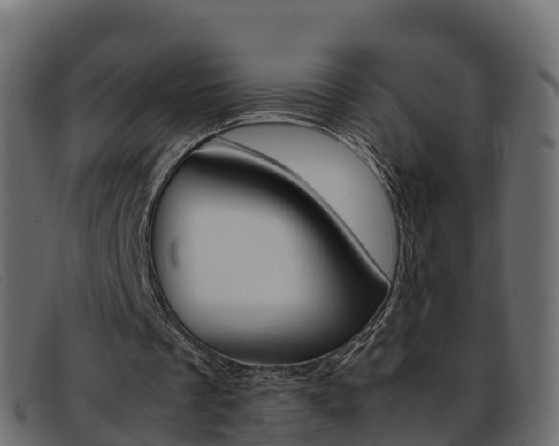 X0000093370289200710111332
