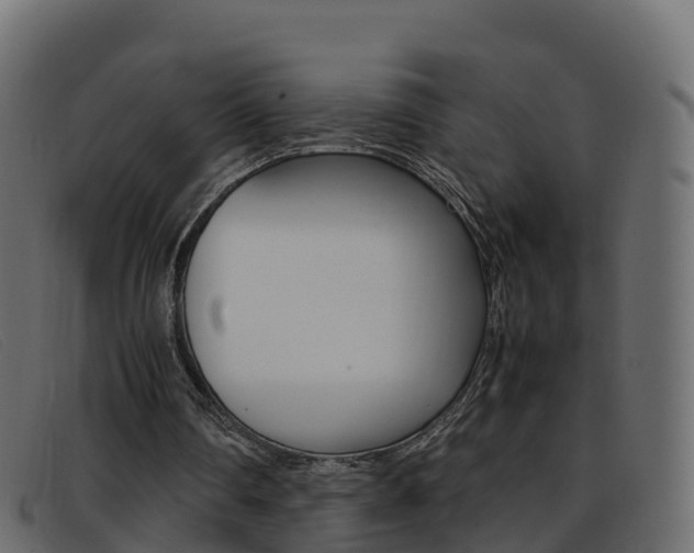 X0000093370290200710111332