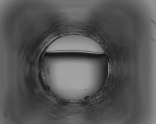 X0000093370291200710111332