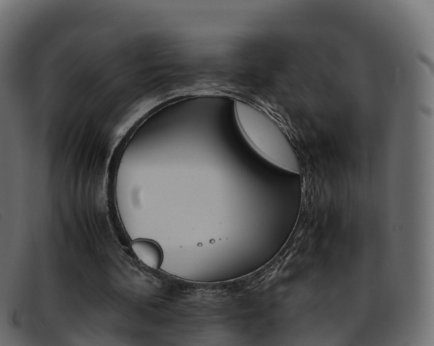 X0000093370292200710111332