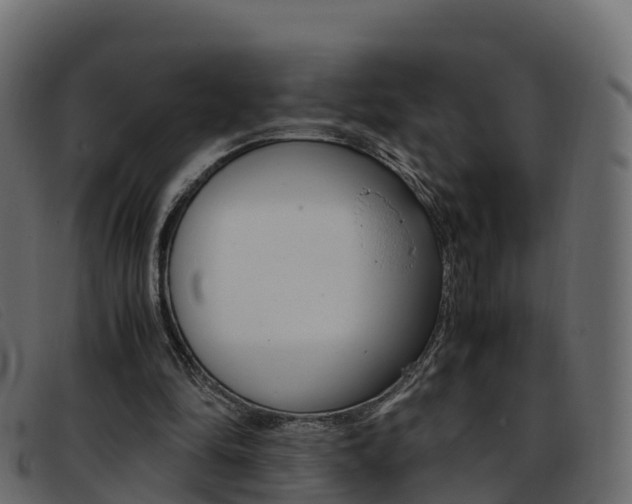 X0000093370294200710111331