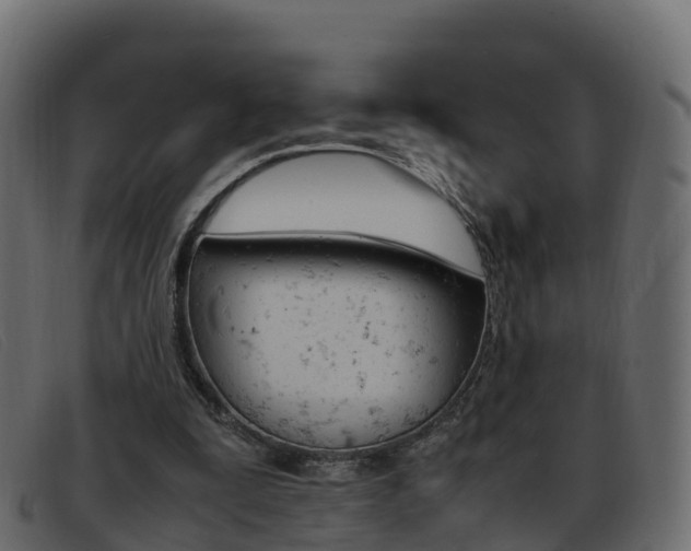X0000093370295200710111331