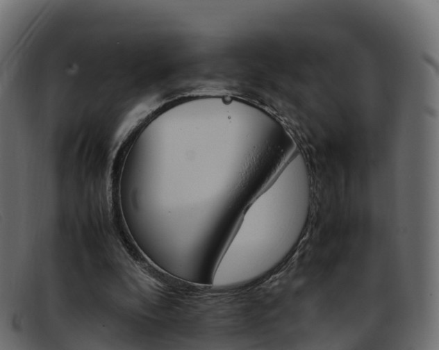 X0000093370296200710111331