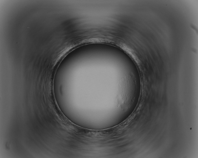 X0000093370297200710111331