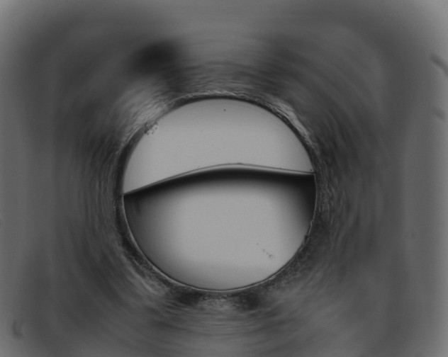 X0000093370299200710111331