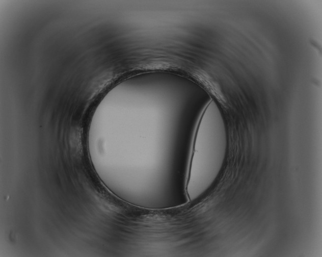 X0000093370300200710111331