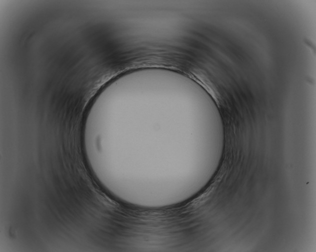 X0000093370301200710111331