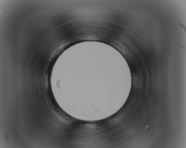 X0000093370302200710111331