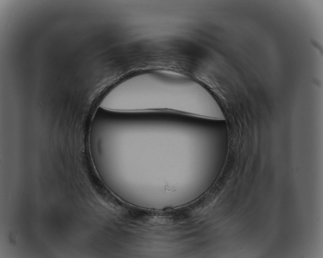 X0000093370303200710111331