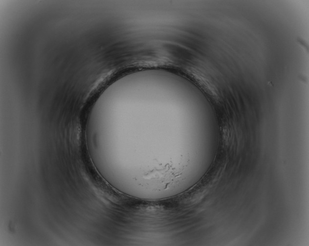 X0000093370304200710111331