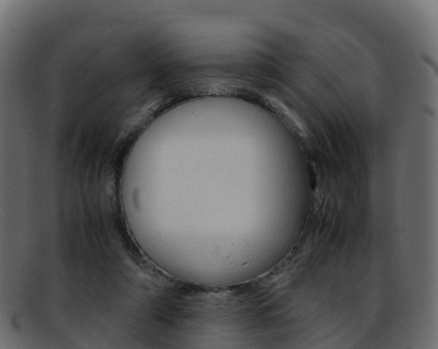 X0000093370306200710111331