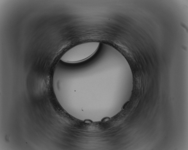 X0000093370308200710111331