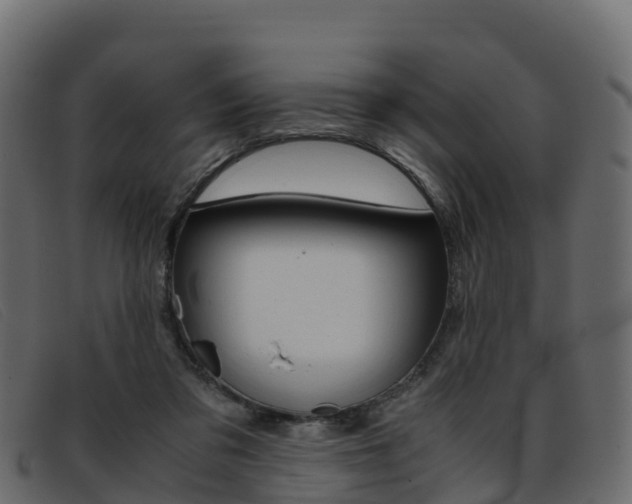 X0000093370309200710111331
